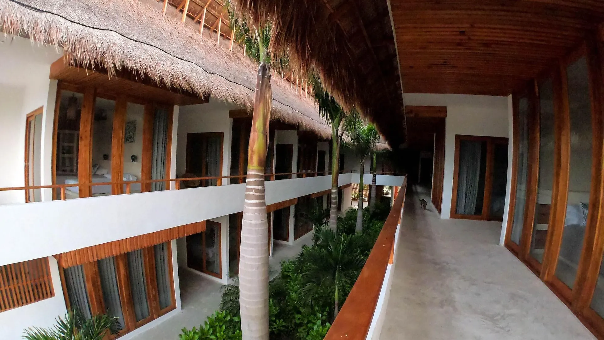 ***  Hotel Casa Margot Holbox Mexico
