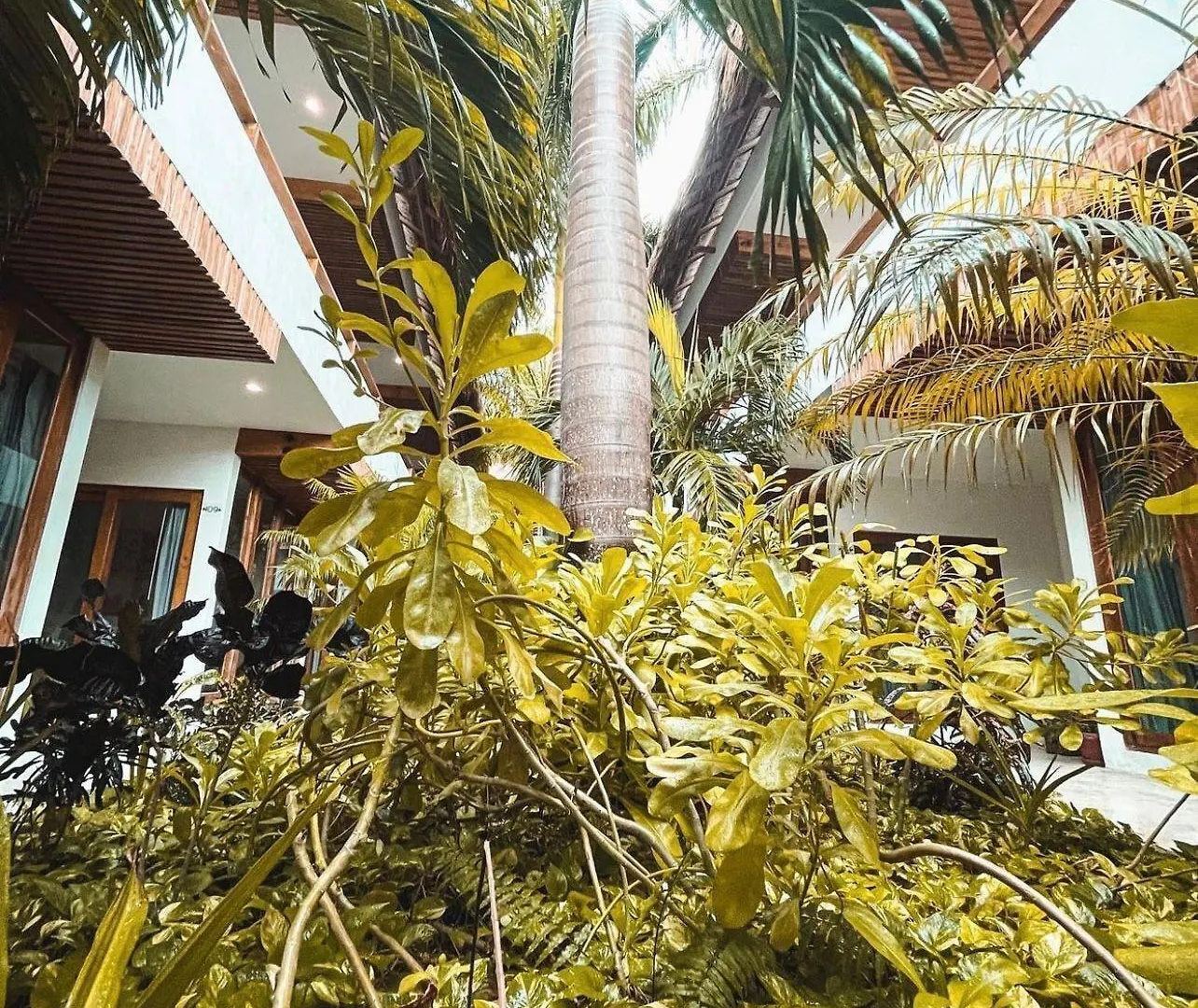 Hotel Casa Margot Holbox